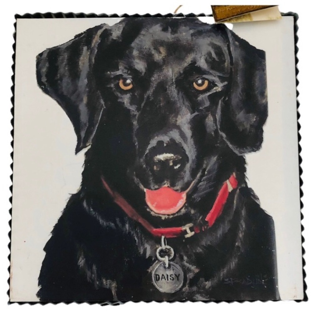 Black Lab Picture